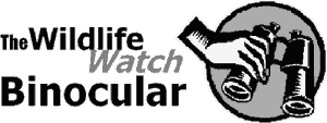 The Wildlife Watch Binocular